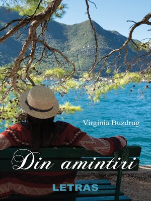 cover image of Din Amintiri